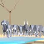 Elephants