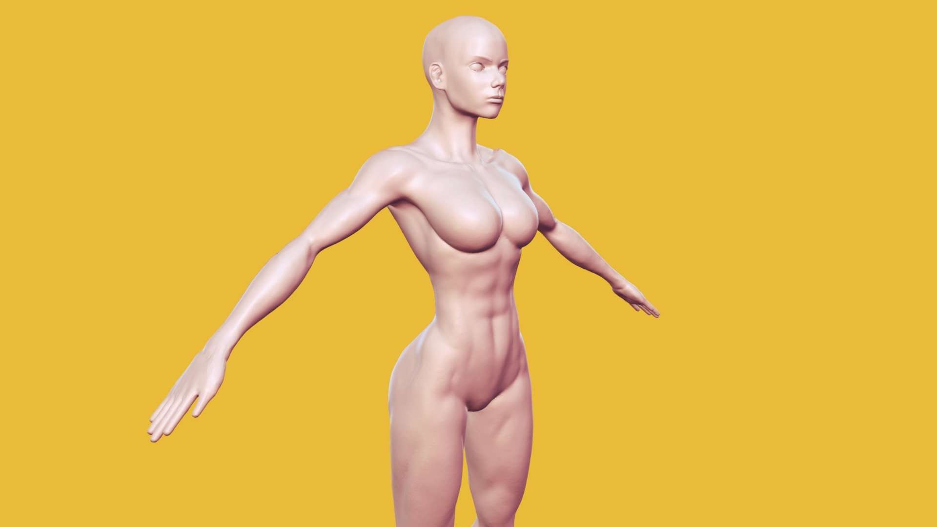 Fit Female Base Mesh