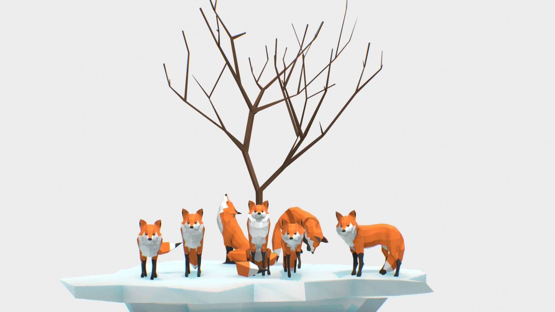 Foxes