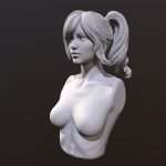 Hair Sculpt 3