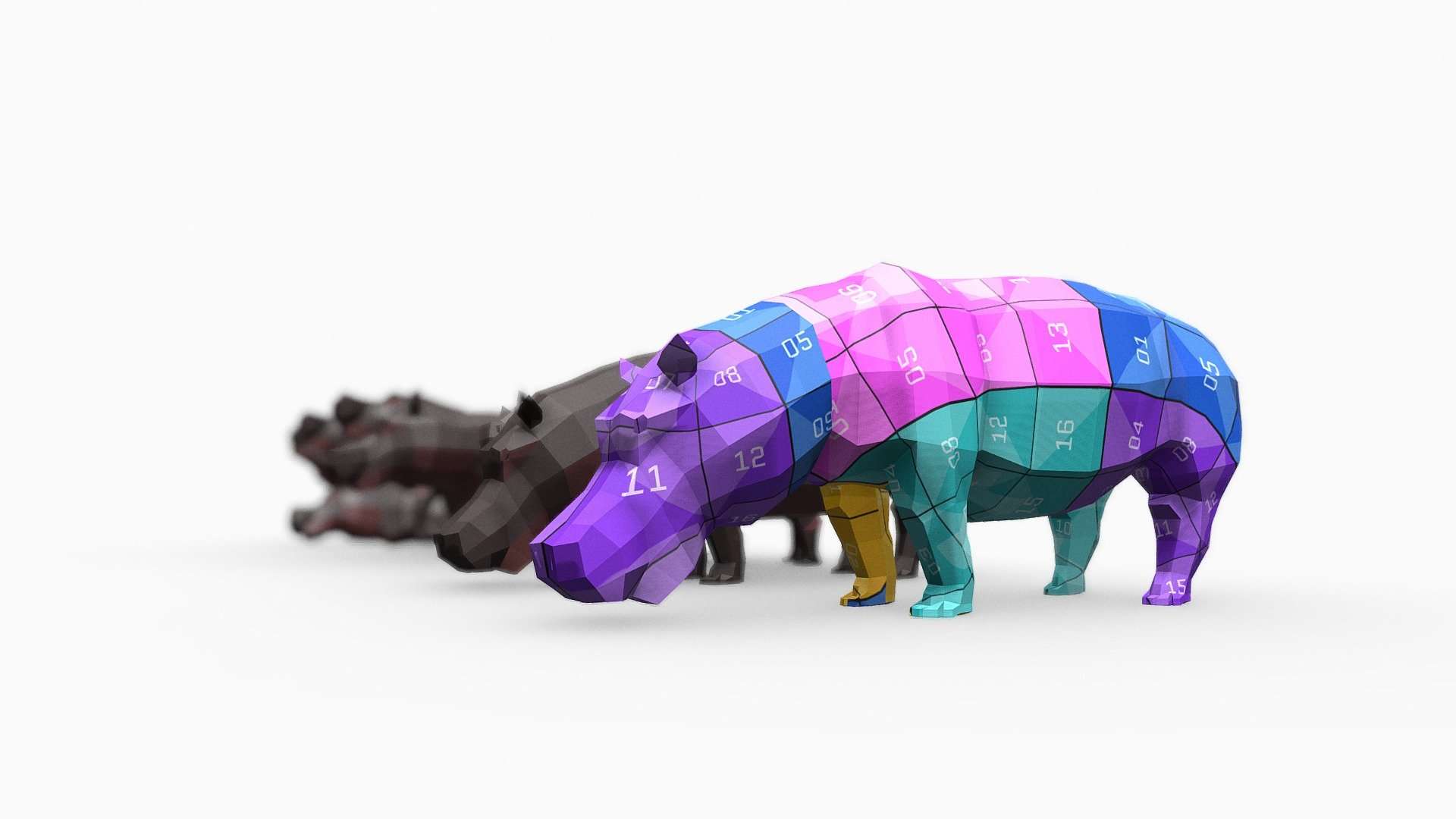 Hippo