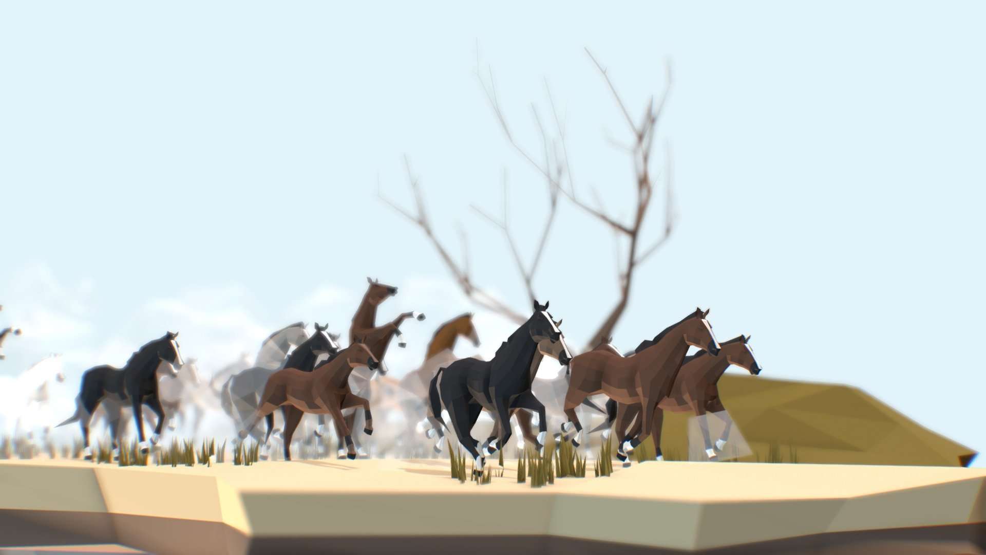 Horses