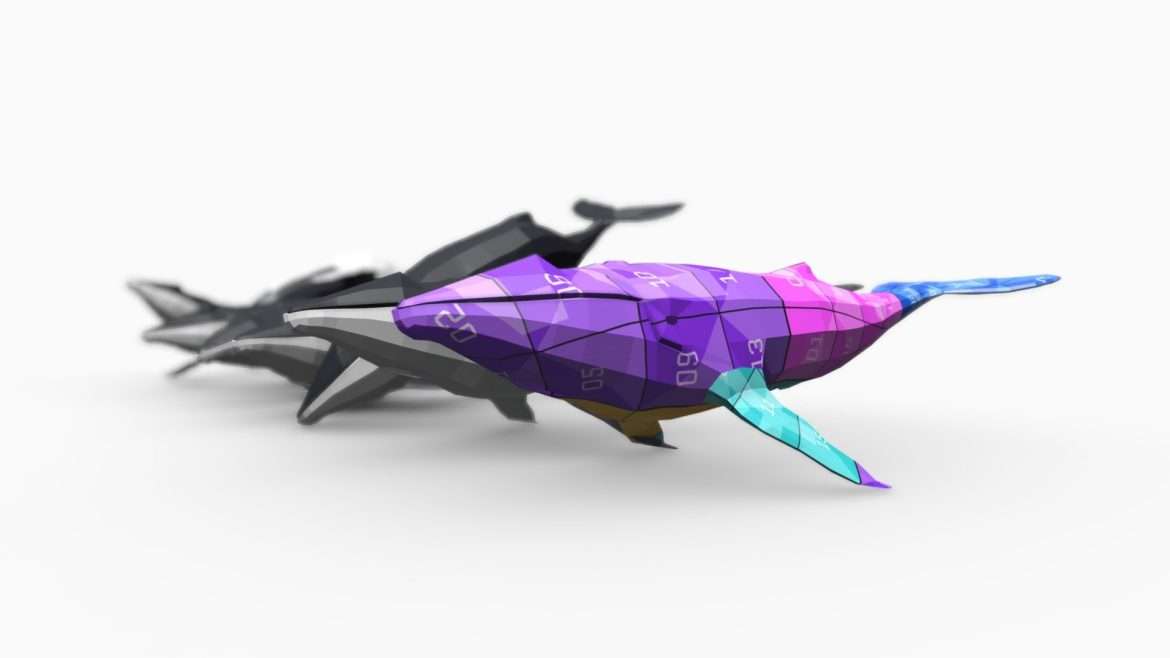 Humpback Whale 3d Model - Detailed Humpback Whale 3D Model showcasing seven dynamic poses for marine visualization projects