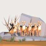 Jackals