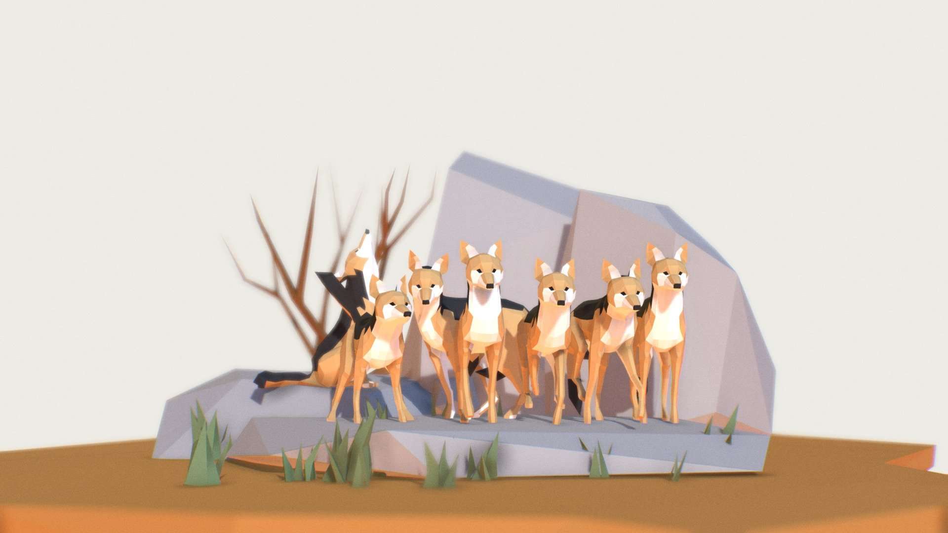 Jackals