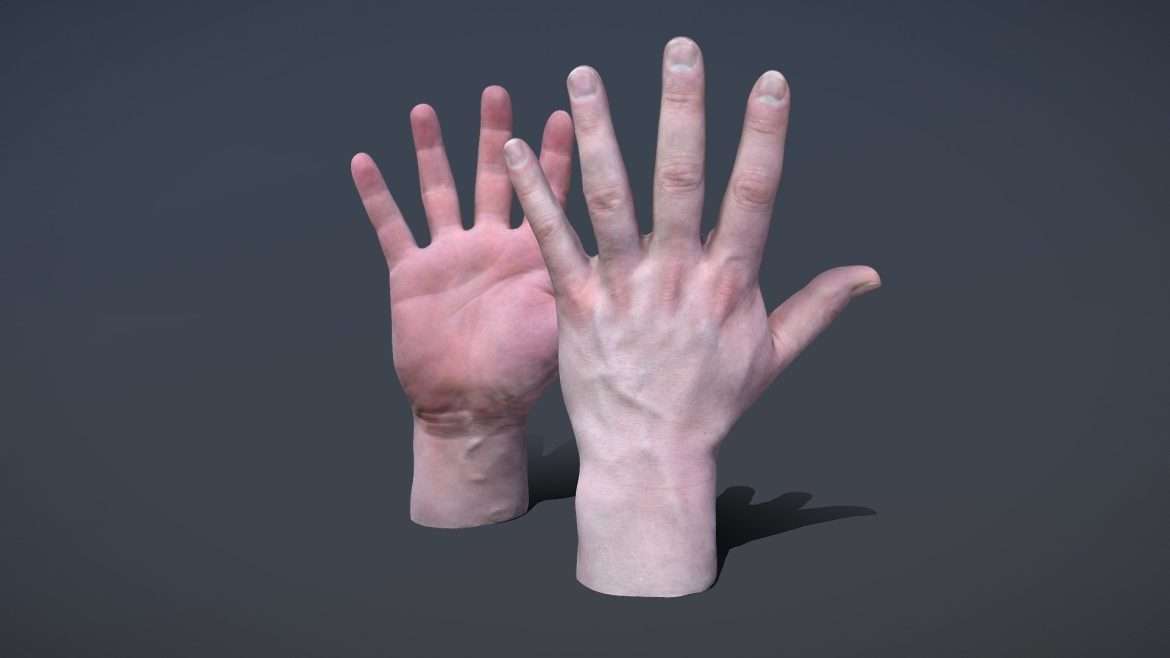 male hands 3d model