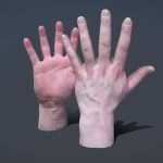 Male Hands