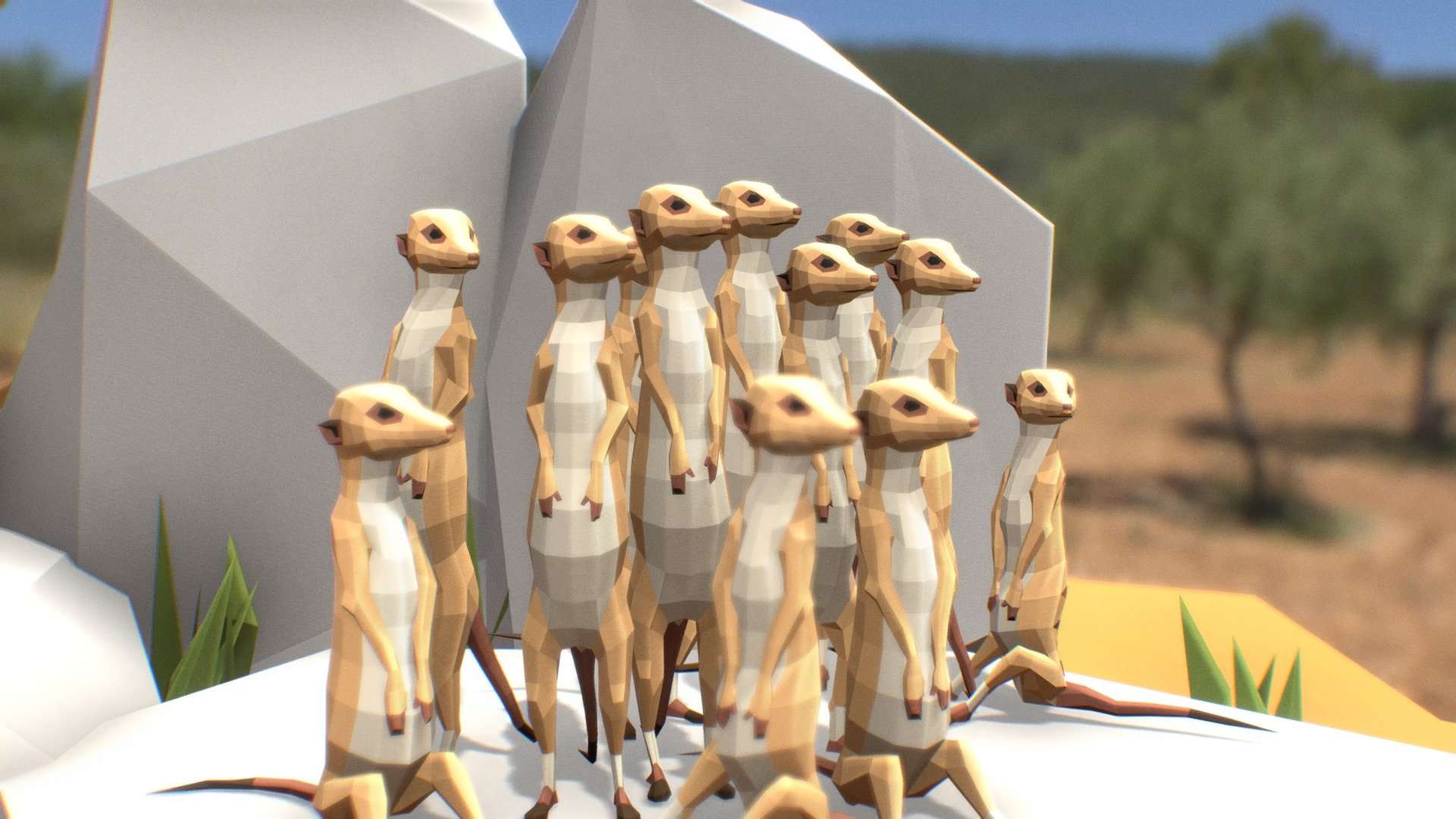 Meerkats