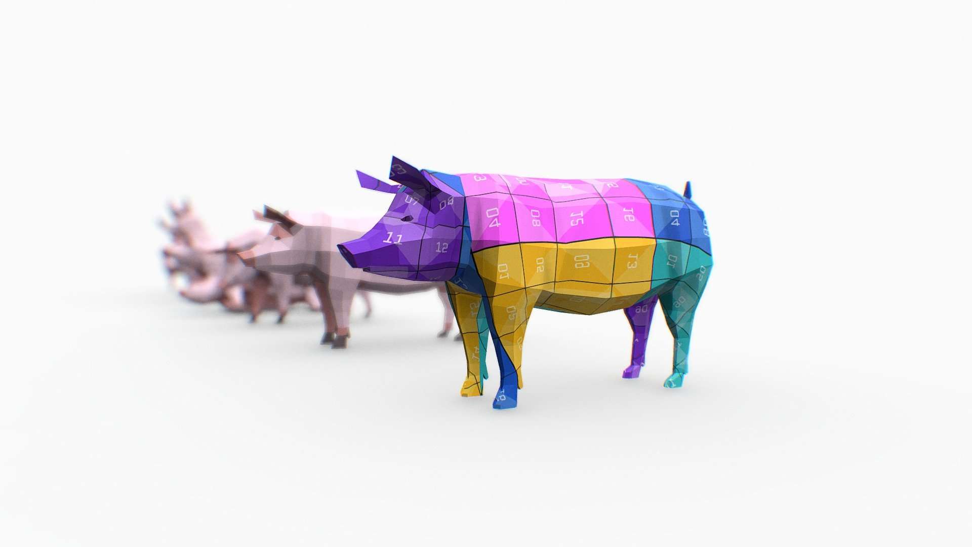 Pig