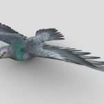 pigeon flying 3d model