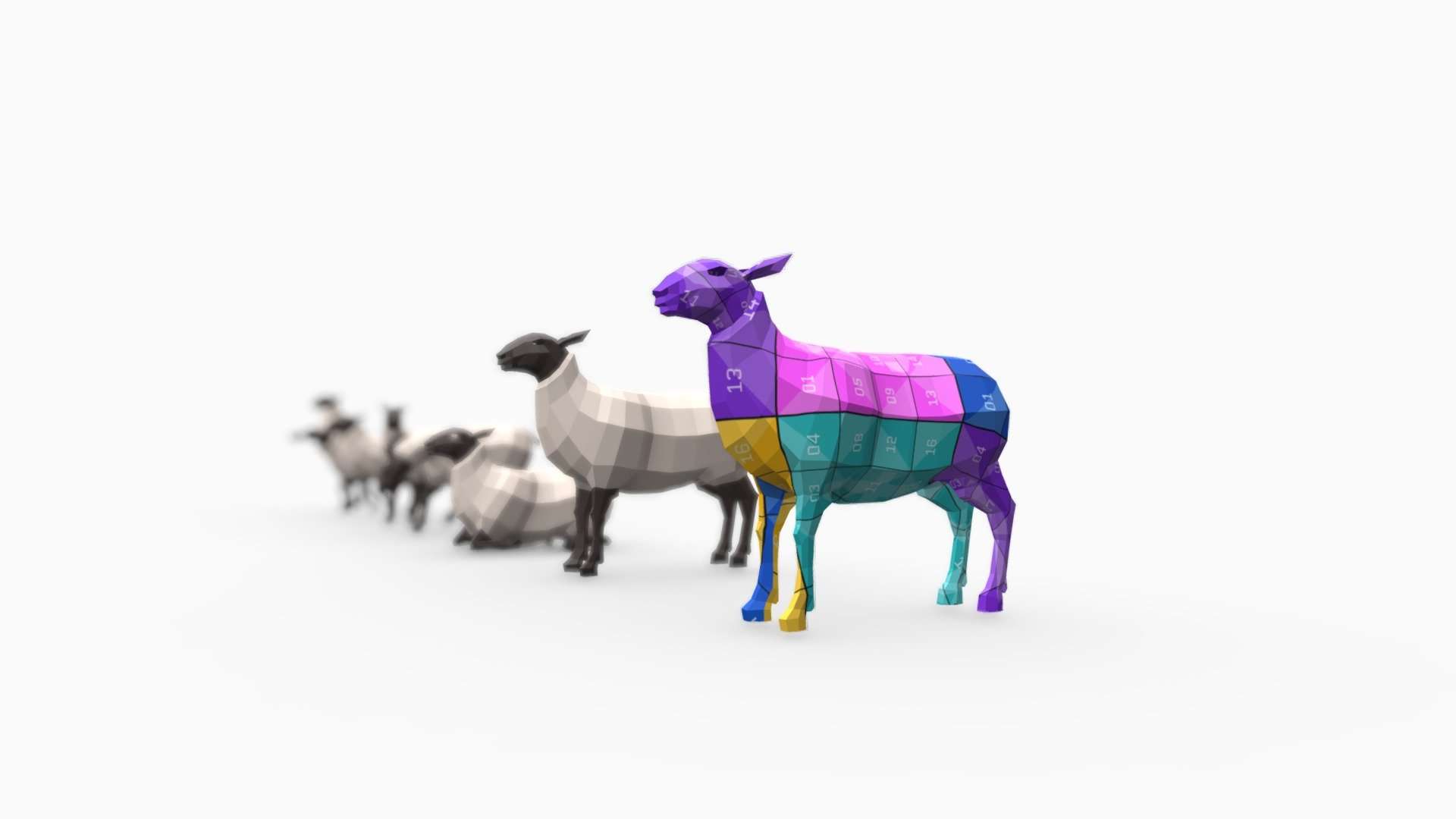 Sheep