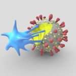 Tcell & Virus