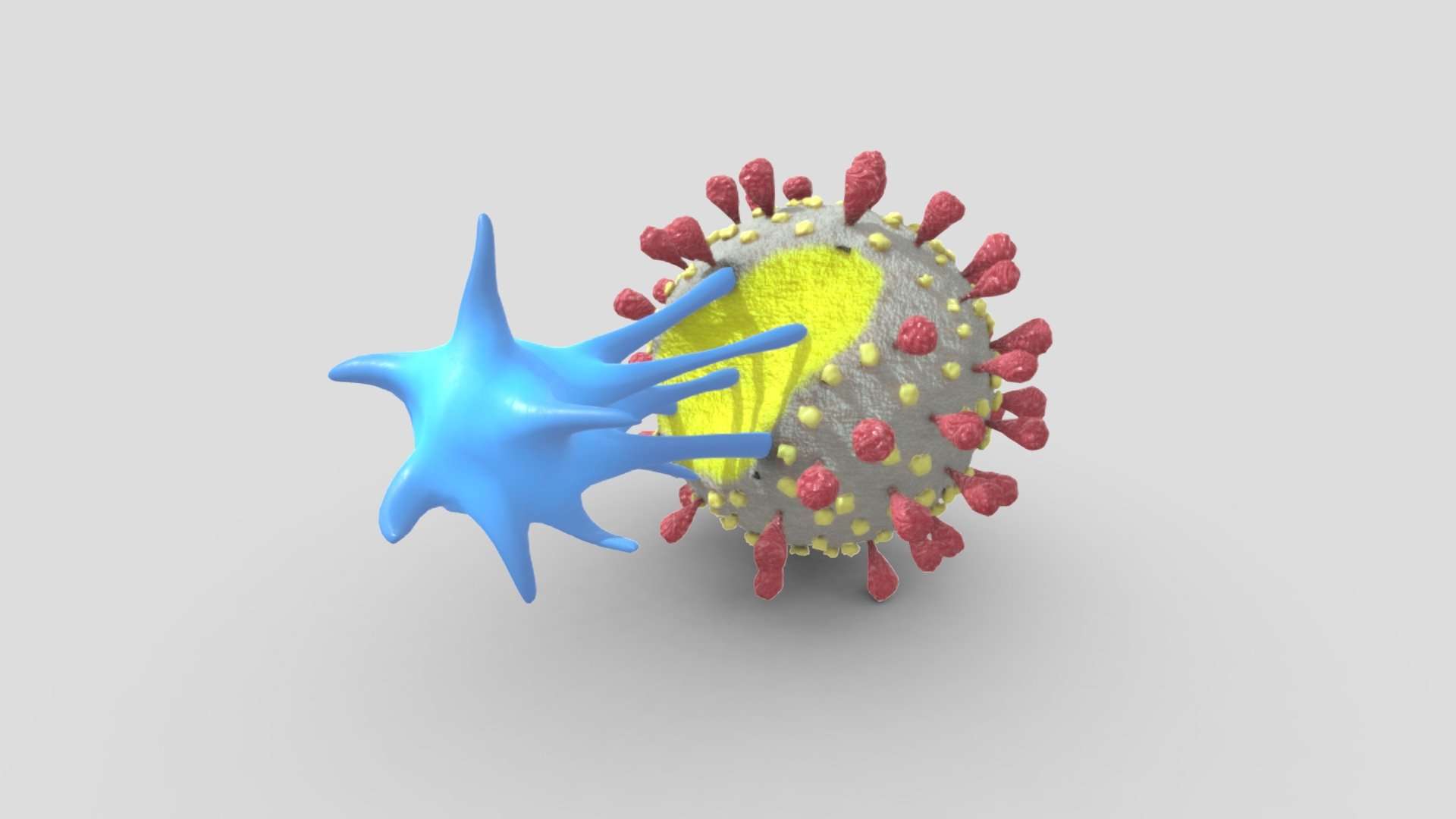 Tcell & Virus