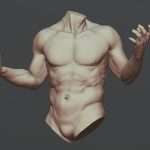Torso With Arms 1