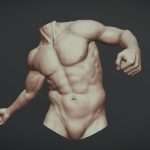 torso with arms 5 3d model