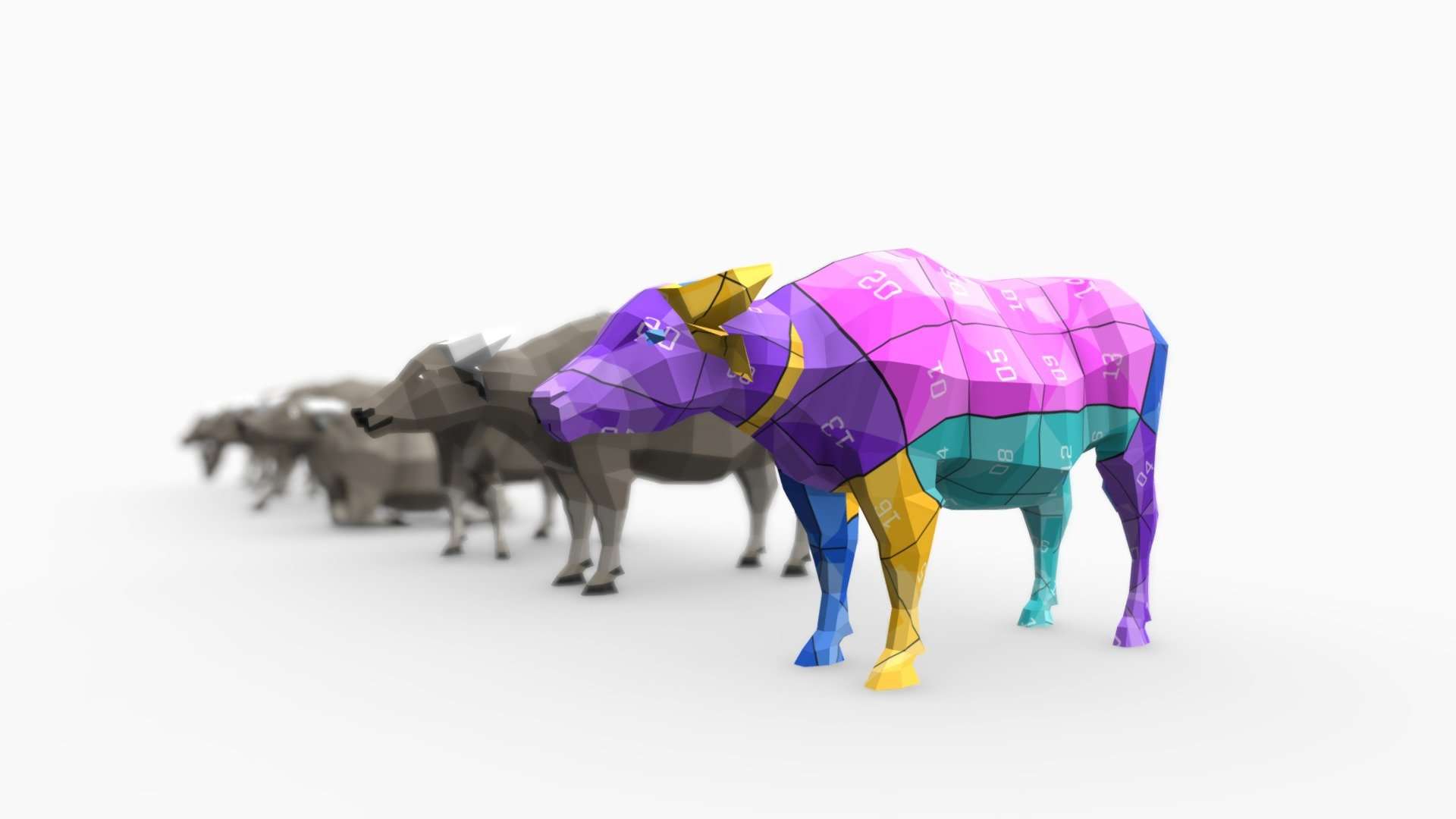 Water Buffalo