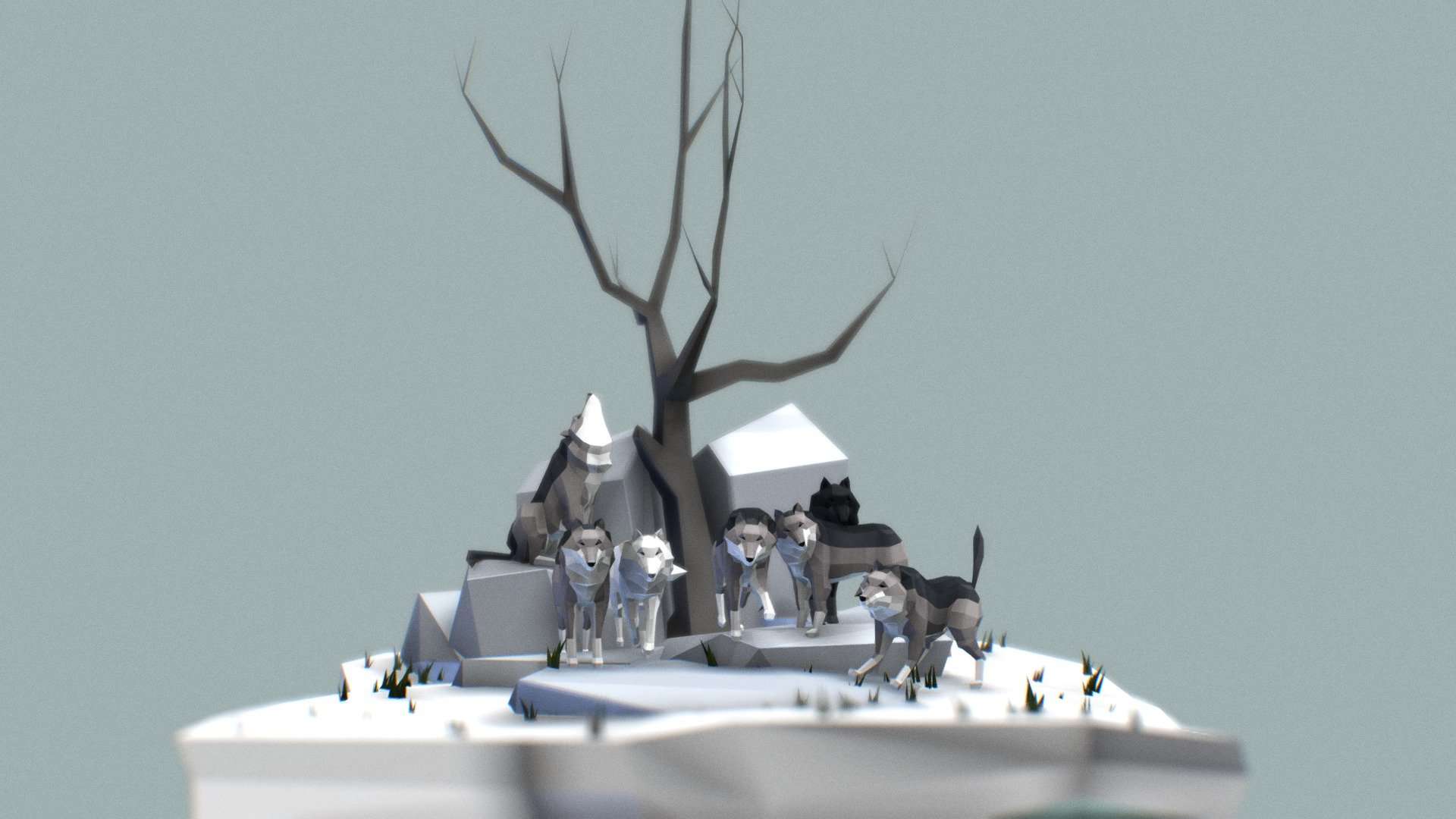 Wolves