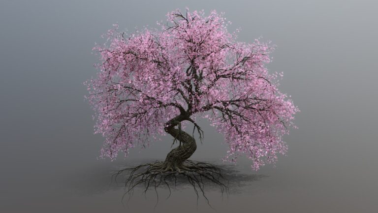 Ancient Sakura 3d Model - Majestic Cherry Blossom Tree