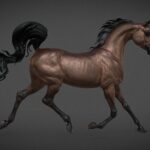 Arabian horse | 3D Sculpting