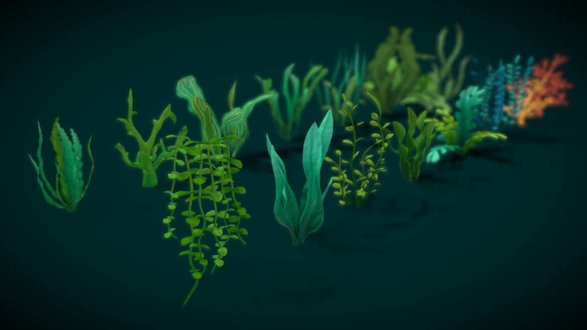 cartoon seaweed 10 3d model