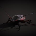 cucaracha