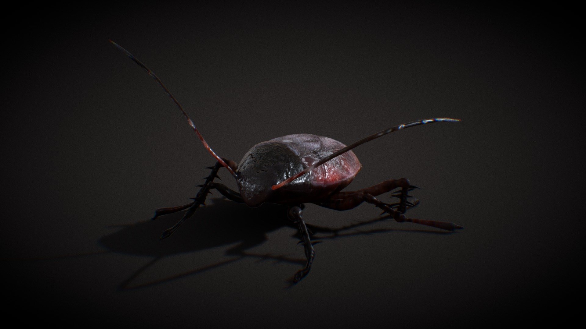 cucaracha