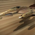 DWG-262 space fight desert version