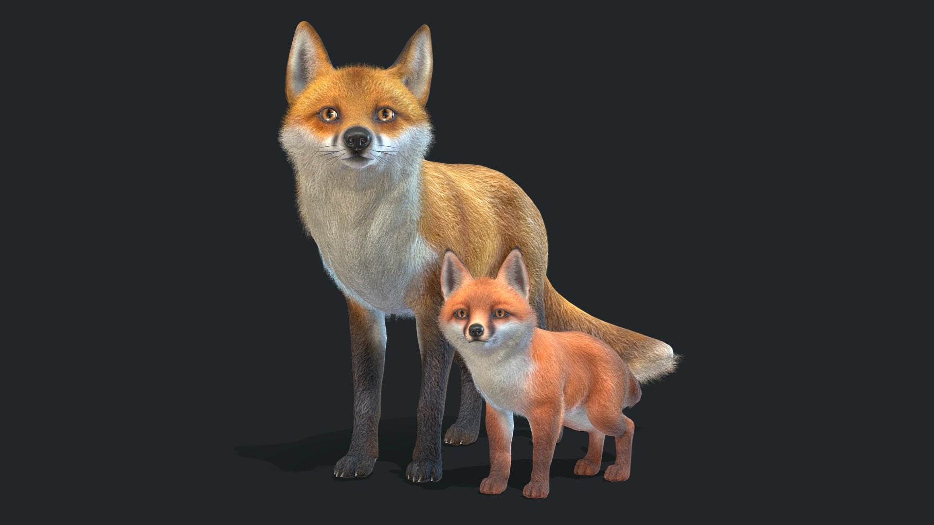 Fox – Family