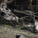 skull ruin scene