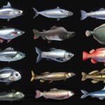 Stylize Fish Pack