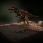 Tyrannosaurus Rex