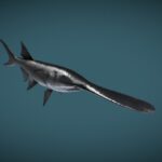 Paddlefish