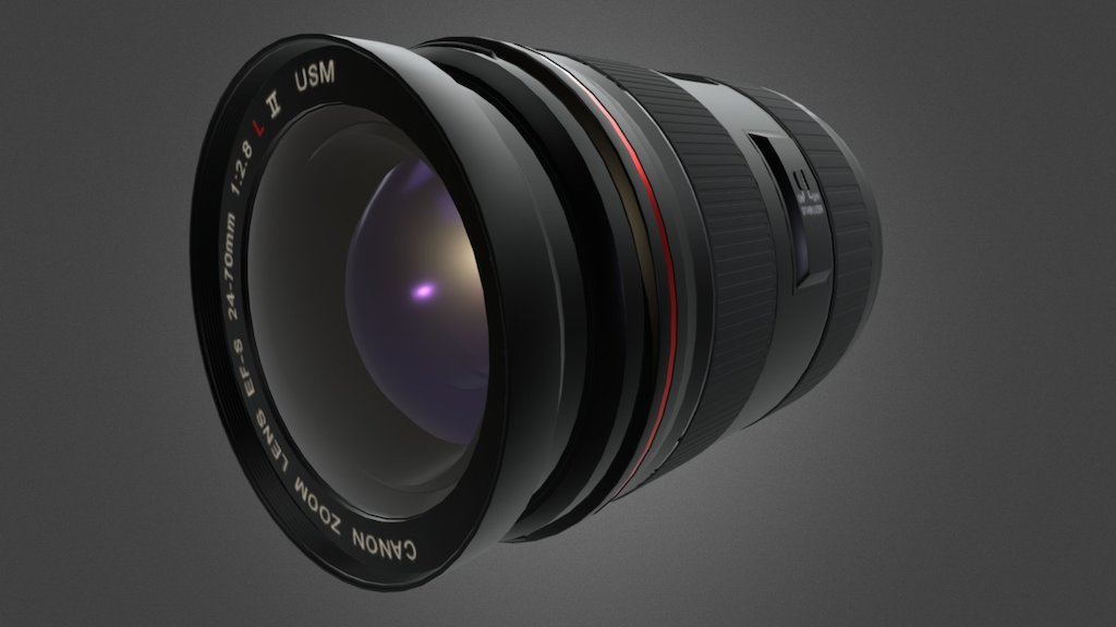Canon 24-70 mm lens
