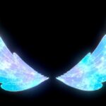 Crystal Wing
