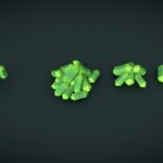 Loot N Fruit Set