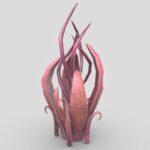 Alien plant