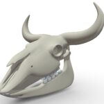 Bison Skeleton