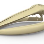 fin whale skull 3d model