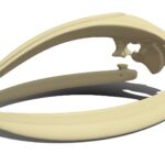 Right Whale Skeleton