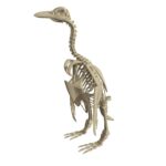 Penguin Skeleton