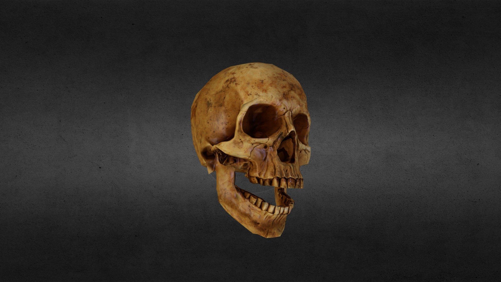 skull.FBX