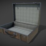 Suitcase with money