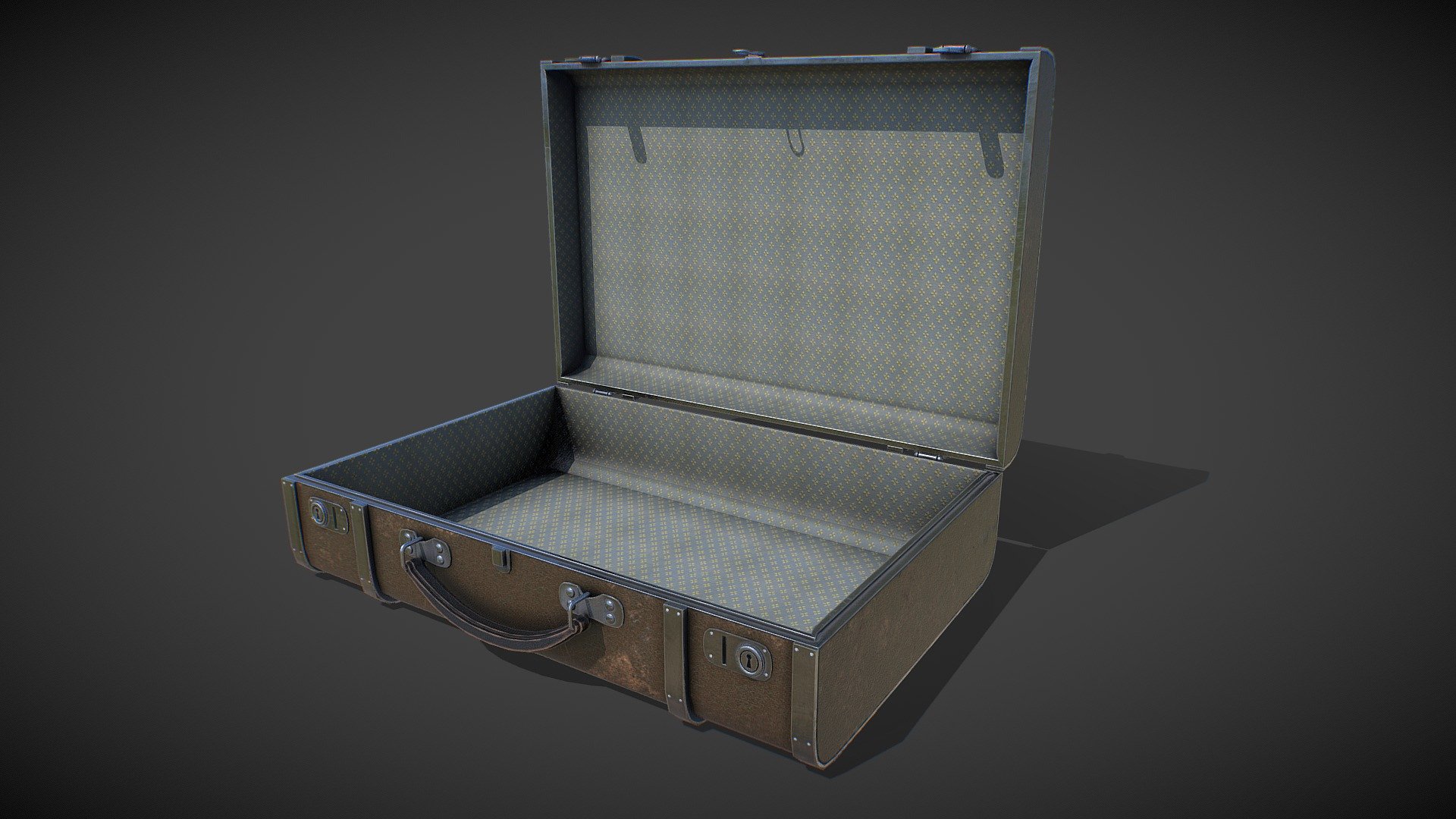 Suitcase with money