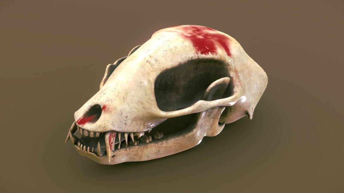 animal skull stylized asset prop game 3d model