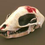 Animal skull stylized asset prop game