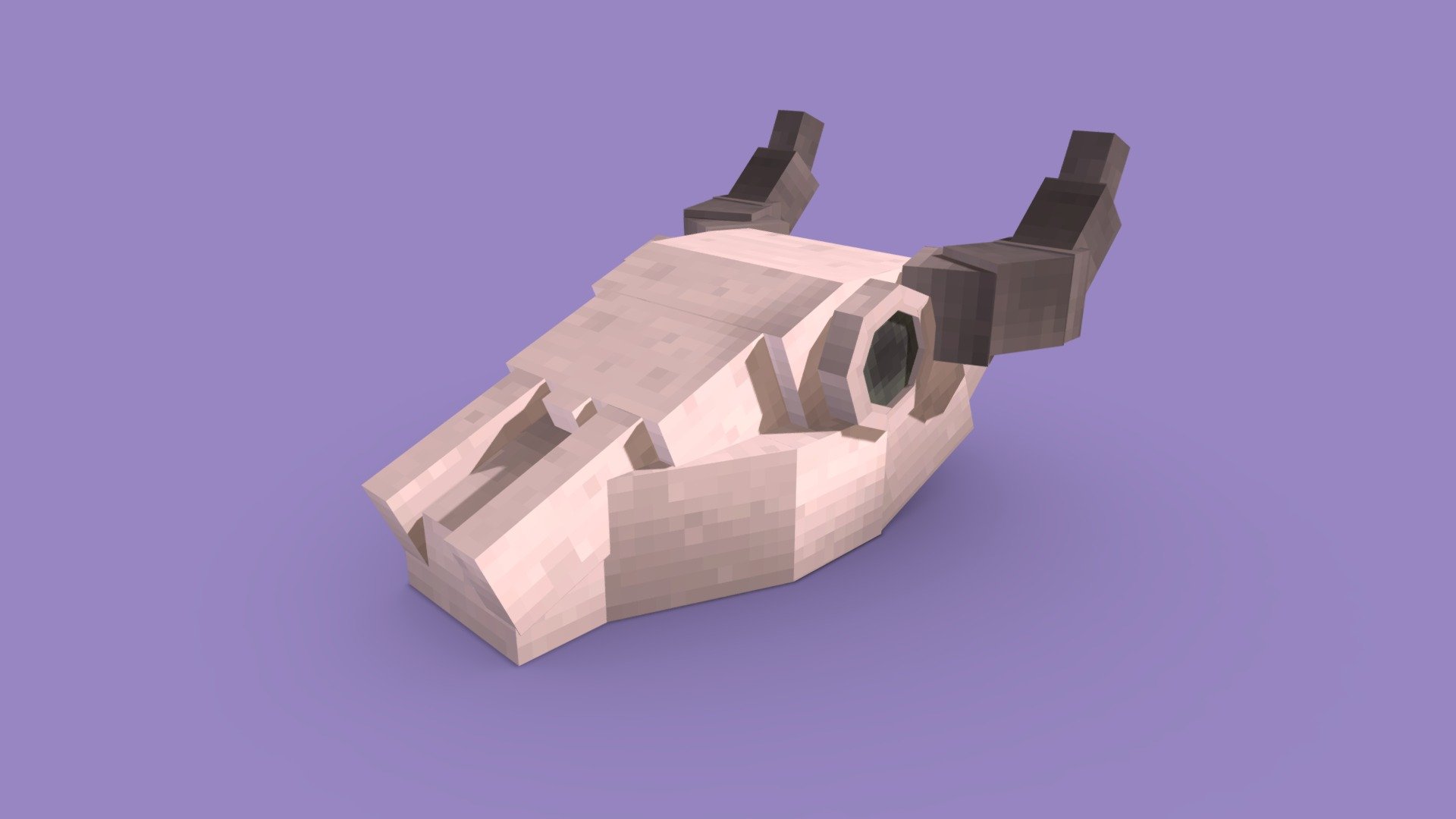 Cow skull