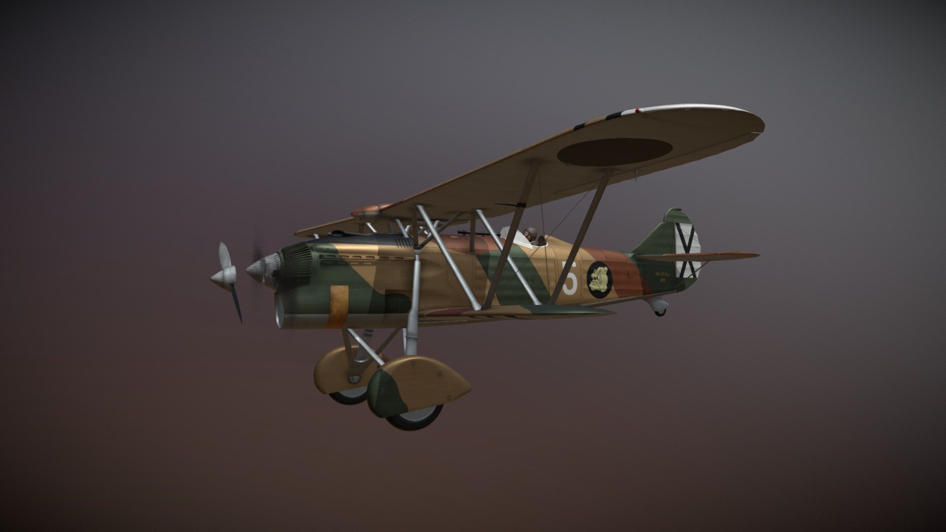 Fiat CR.32 – Italy Air Force – X Gruppo