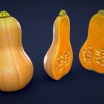 stylized butternut pumpkin low poly 3d model