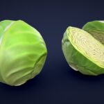 Stylized Cabbage Green – Low Poly