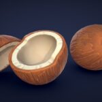 stylized coconut low poly 3d model